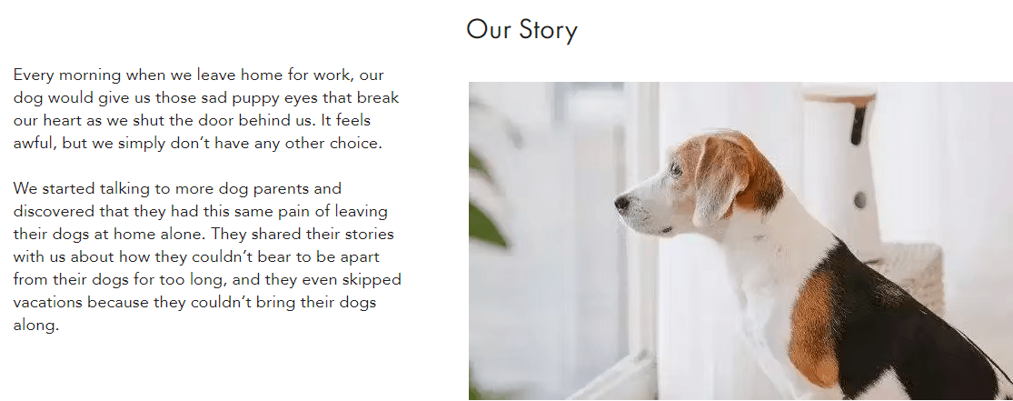 a store showing their story on the About page